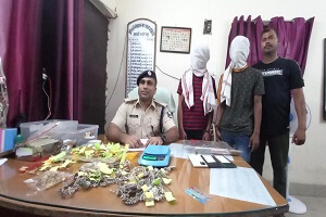 News image